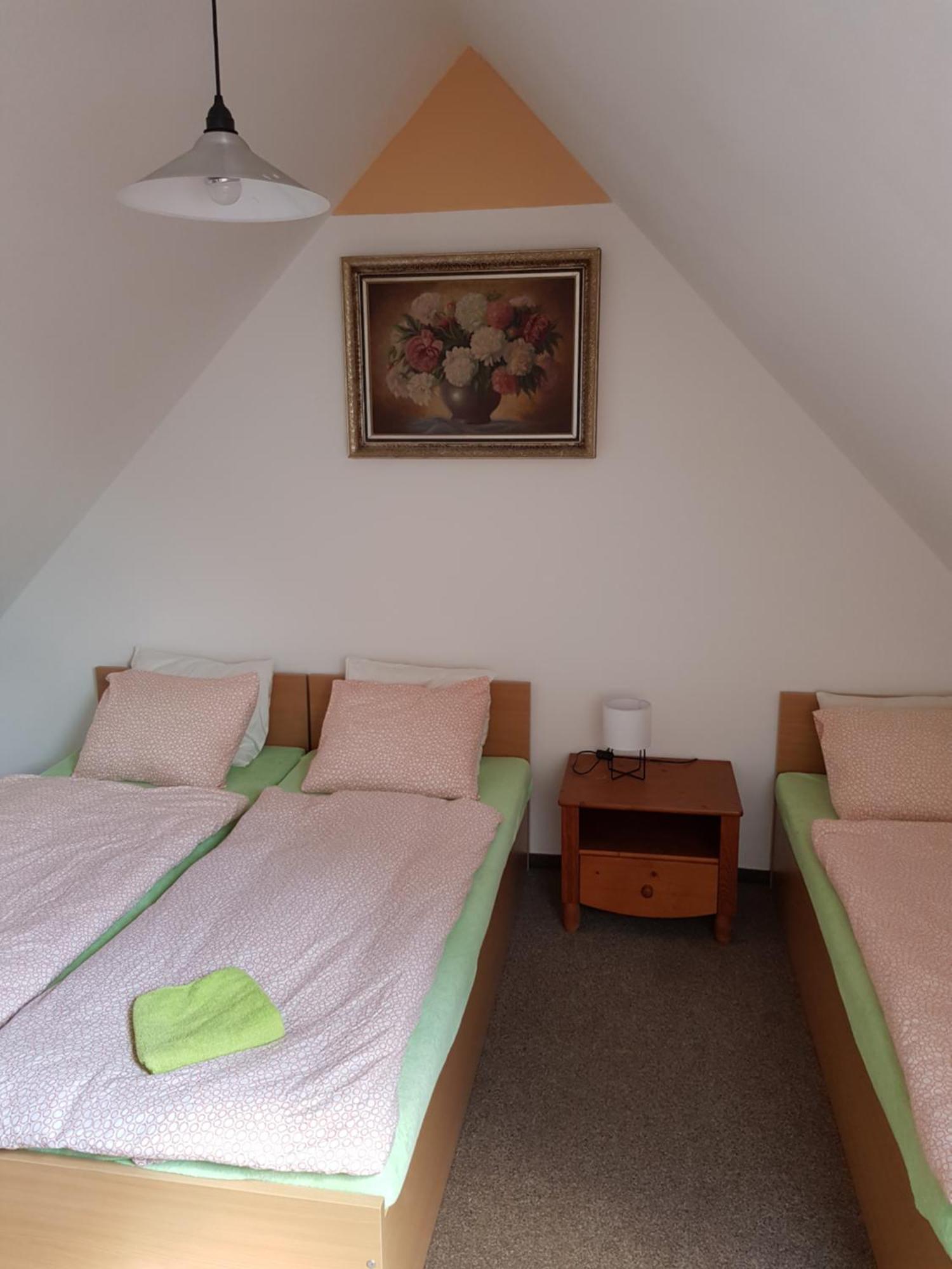 Penzion U Suchanku Mezimesti Exterior foto